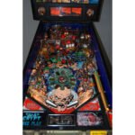 Flipper Tales from the Crypt - Les Histoires Macabres de la Crypte – Image 2