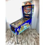 Flipper White Water - L'Aventure en Rapides (Occasion)